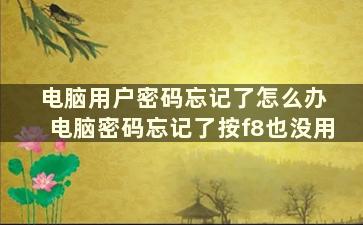 电脑用户密码忘记了怎么办 电脑密码忘记了按f8也没用